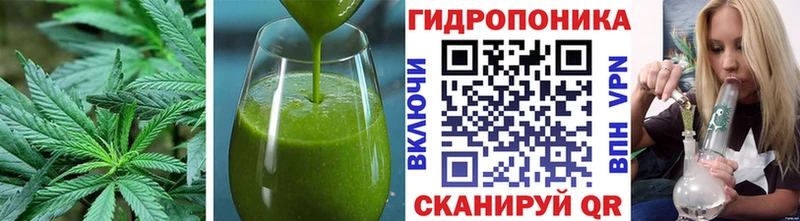 Купить где  Миньяр  Еда ТГК конопля 