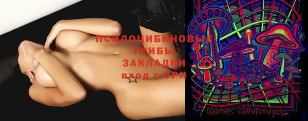 гашик Балабаново
