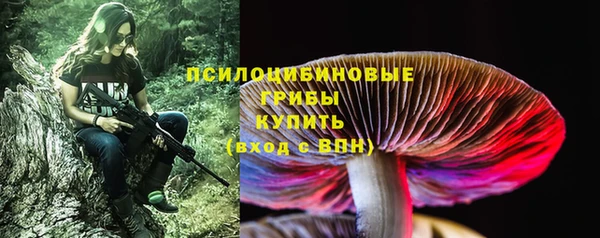 гашик Балабаново