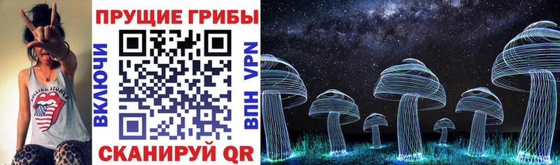 Псилоцибиновые грибы мицелий  Купить закладки  Миньяр 