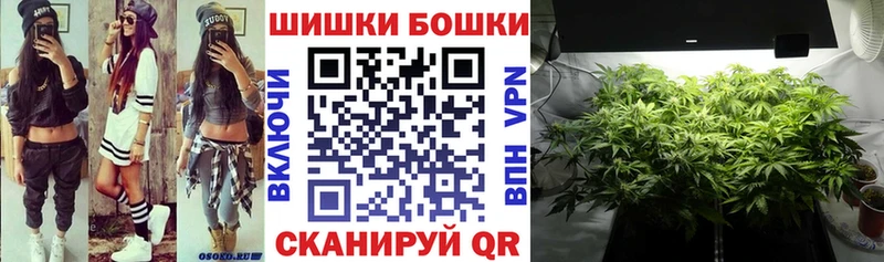 Шишки марихуана VHQ  Купить закладки  Миньяр 
